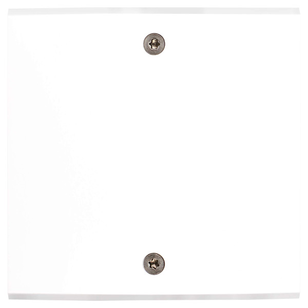 Façade confidence laiton blanc mat simple ouverture pour chargeur double usb à vis