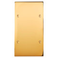 Façade Confidence Laiton  Or Miroir double verticale 1 basculeur + Liseuse 20 (232-421)