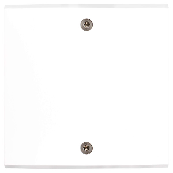 Façade Confidence Laiton  Blanc simple nue pour gravure sans vis (1051-413)