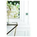 Façade fascination laiton jade simple 1 push + led sans vis