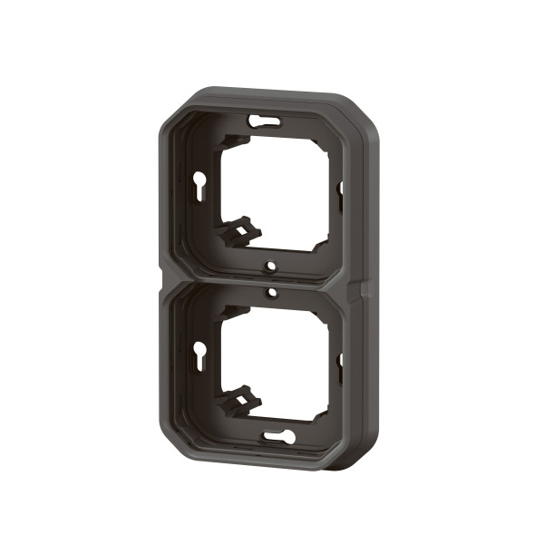 Plaque support 2 postes plexo encastré horizontal ou vertical - anthracite