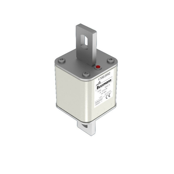 FUSE 125A 500V TP 405 AR (170E2092)