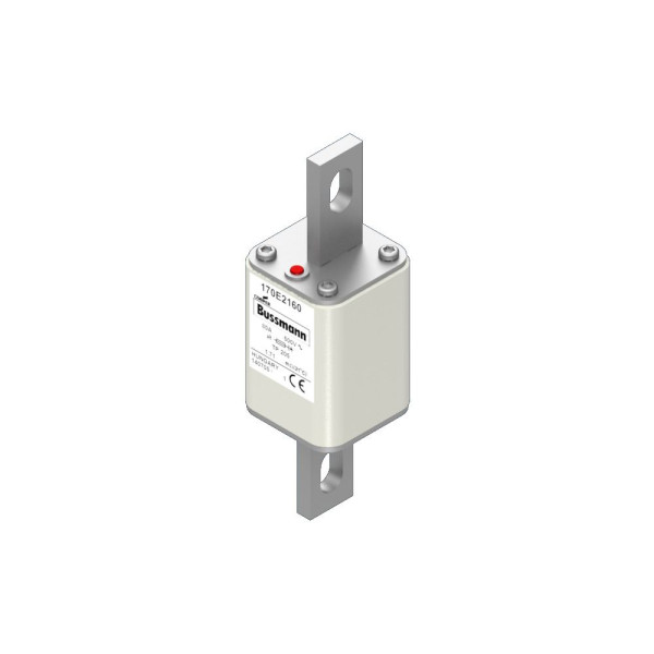 FUSE 80A 500V TP 205 AR (170E2160)