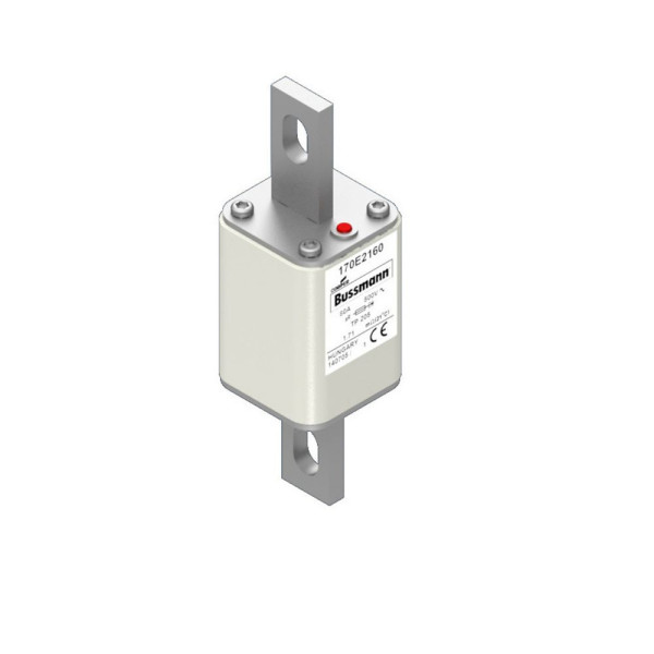 FUSE 80A 500V TP 205 AR (170E2160)