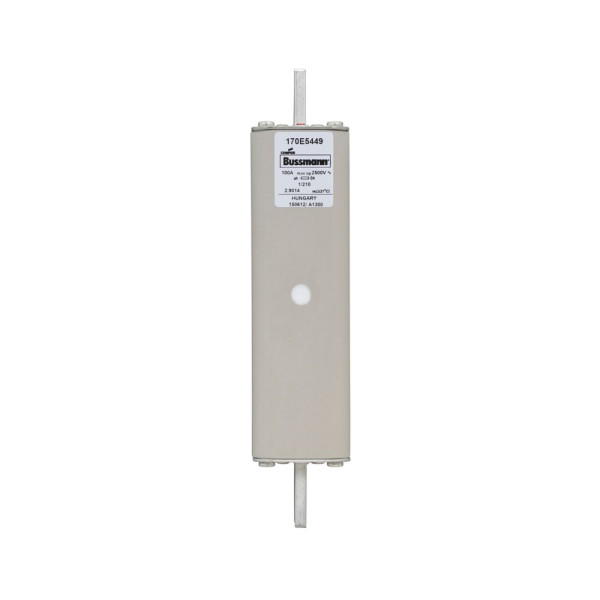 FUSE 100A 2500V 1/210 AR (170E5449)