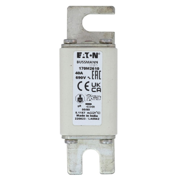 Fuse 40a 690v 00/80 gr 