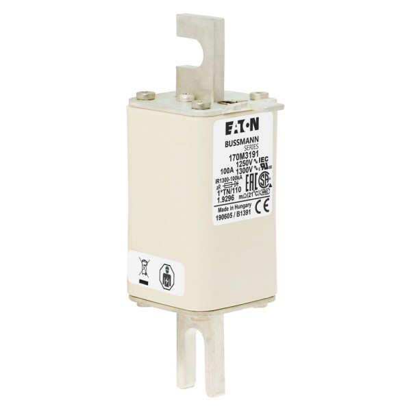 Fuse 100a 1250v 1*tn/110 ar cu 