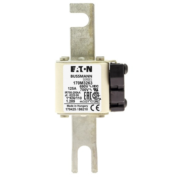 Fuse 125a 690v 1*kn/110 ar uc 