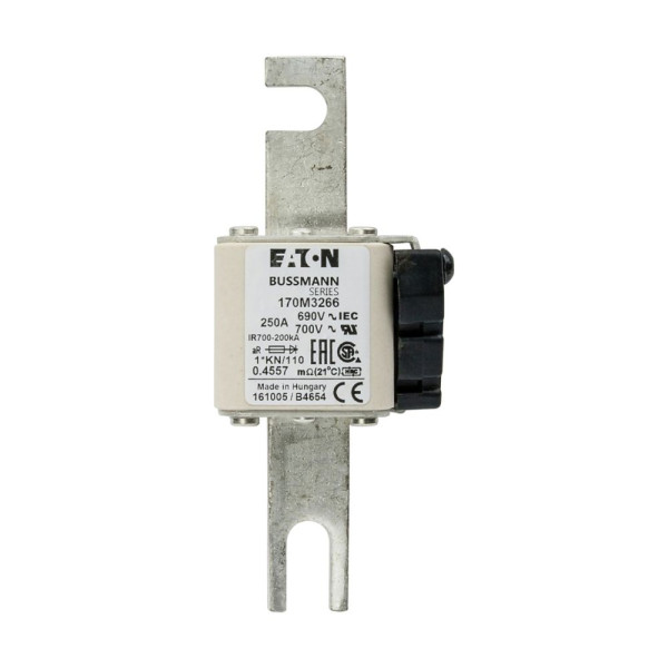 Fuse 250a 690v 1*kn/110 ar uc 