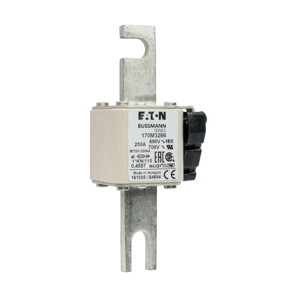 Fuse 250a 690v 1*kn/110 ar uc 