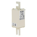 Fuse 100a 1000v 1*tn/110 ar 