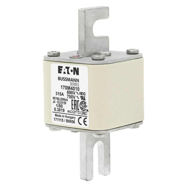 Fuse 315a 690v 1/80 ar uc 