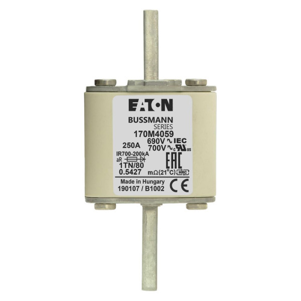 Fuse 250a 690v 1tn/80 ar uc 