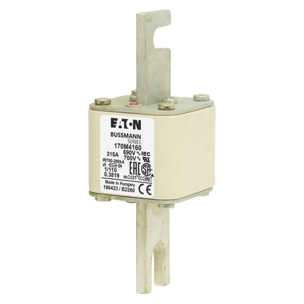 Fuse 315a 690v 1/110 ar uc 