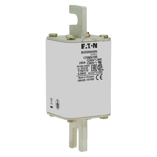 Fuse 250a 1250v 1tn/110 ar cu 