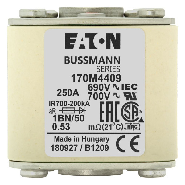 Fuse 250a 690v 1bn/50 ar uc 