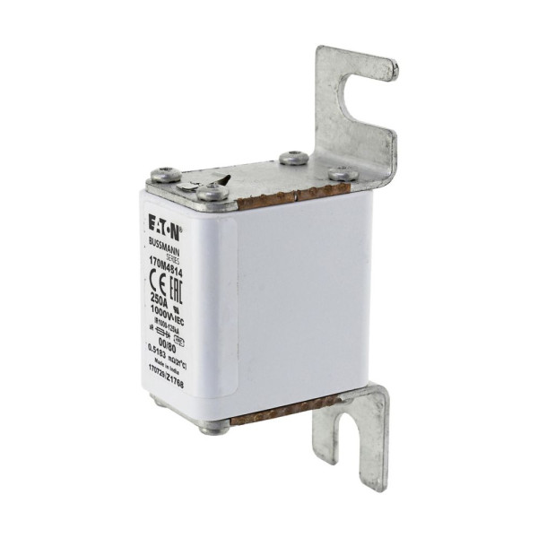 Fuse 250a 1000v 00/80 ar 