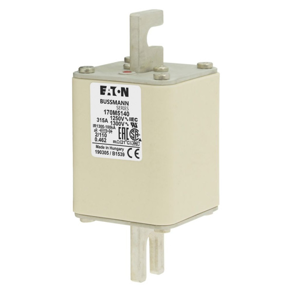 Fuse 315a 1250v 2/110 ar cu 