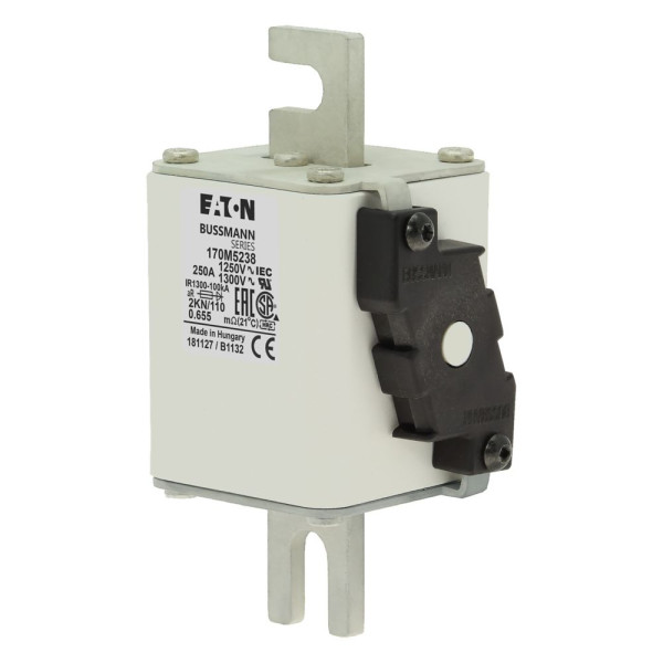 Fuse 250a 1250v 2kn/110 ar cu 