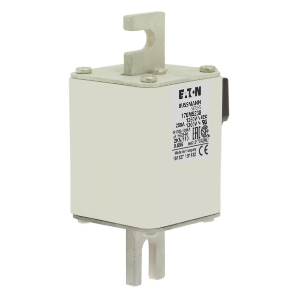 Fuse 250a 1250v 2kn/110 ar cu 