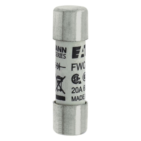 20amp 600v ac ferrule 10 x 38mm 