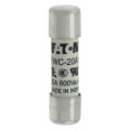 20amp 600v ac ferrule 10 x 38mm 