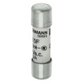 25amp 600v ac ferrule 10 x 38mm 