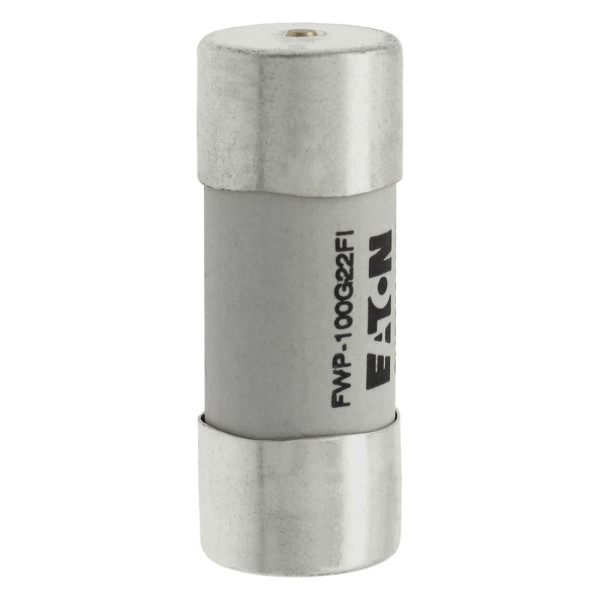 Fuse 100a 690vac gr 22x58 with ind 