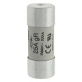 Fuse 25a 690vac gr 22x58 with ind 