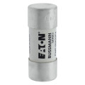 50amp 700v ac 22 x 58mm ferrule 