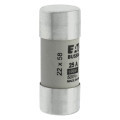 Cylindrical fuse 22 x 58 25a gg 690v ac 