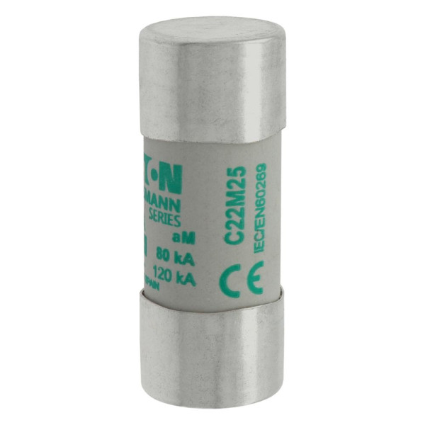 Cylindrical fuse 22 x 58 25a am 690v ac 