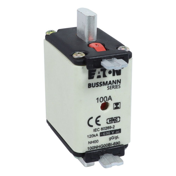 Nh fuse 100amp 690v gg size 00 dual ind 