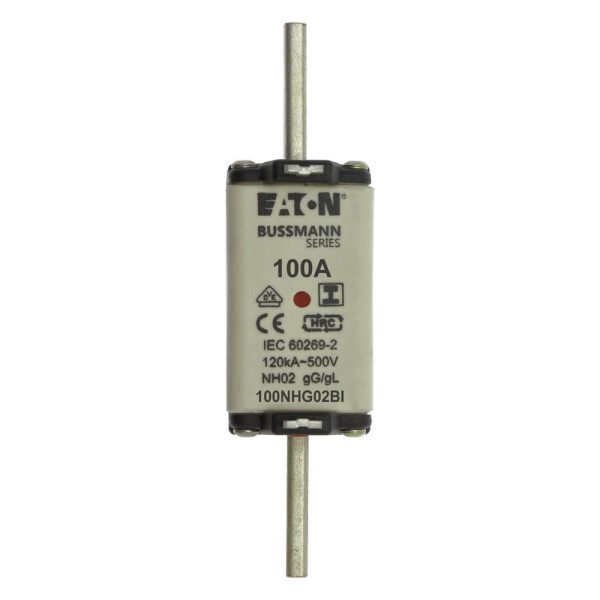 Nh fuse 100a 500v gl/gg size 02 