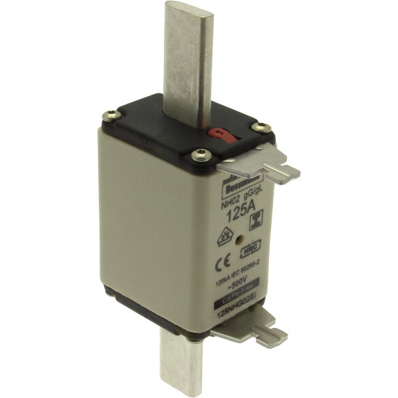 Nh fuse 125a 500v gl/gg size 02 