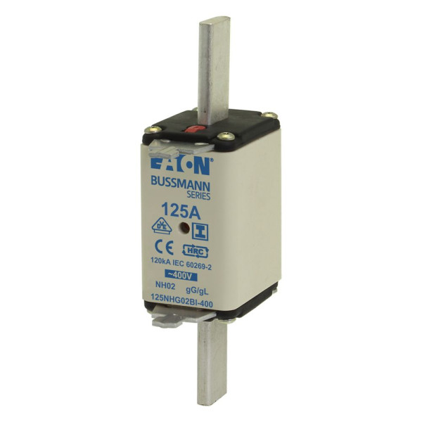 Nh fuse 125a 400v gg/gl size 02 