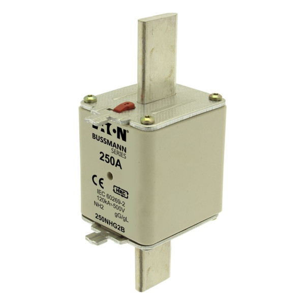 Nh fuse 250a 500v gg size 2 dual ind 