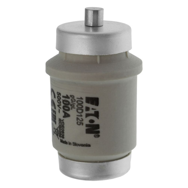 Fuse-d4 100a t gl/gg 500vac 