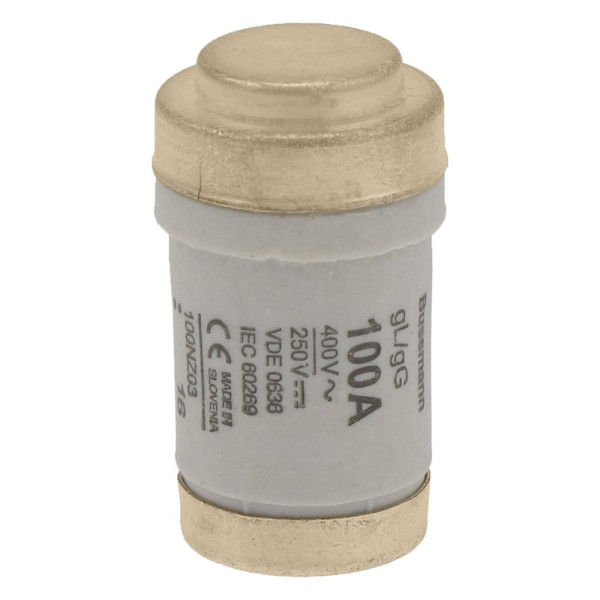 Fuse-d03 100a t gl/gg 400vac m30 