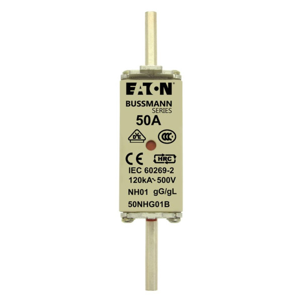 Nh fuse 50a 500v gg/gl size 01 