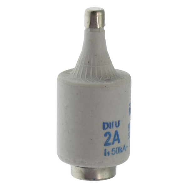 Fuse-d2 2a f gr 500vac e27 