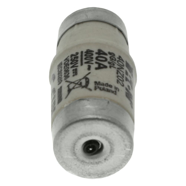 Fuse-d02 40a t gl/gg 400vac e18 