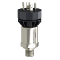 Osisense - capteur pression - 25bar 4-20ma g1 4a male joint fpm connecteur din