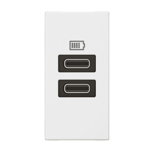 Chargeur 1 module 2 prises usb type c 15w blanc