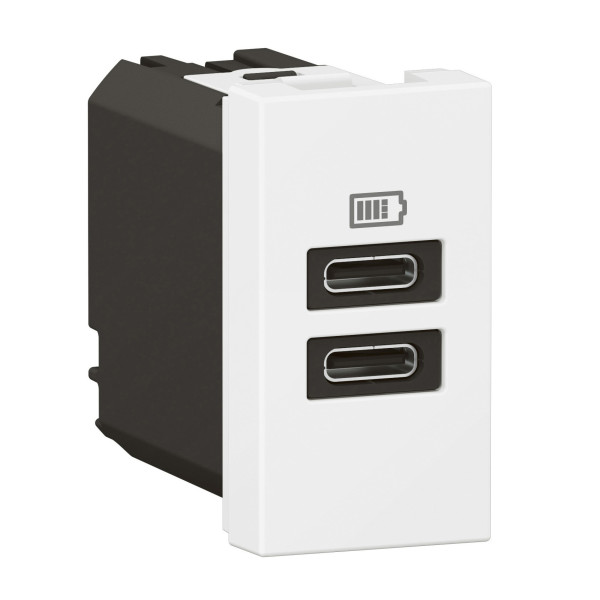 Chargeur 1 module 2 prises usb type c 15w blanc