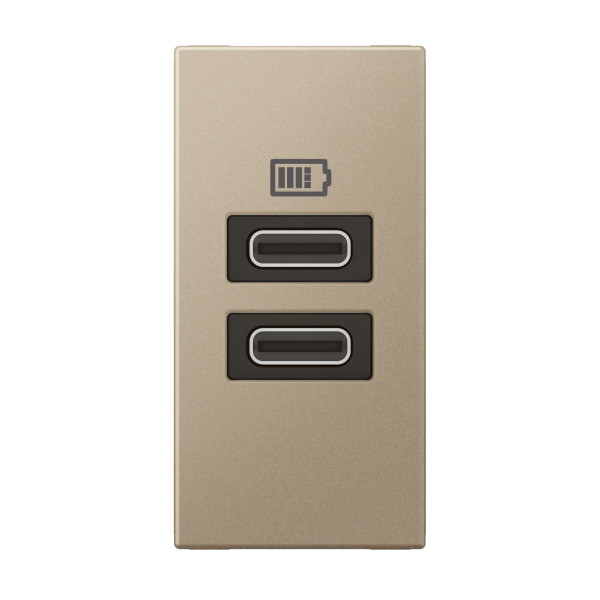 Chargeur 1 module 2 prises usb type c 15w champagne