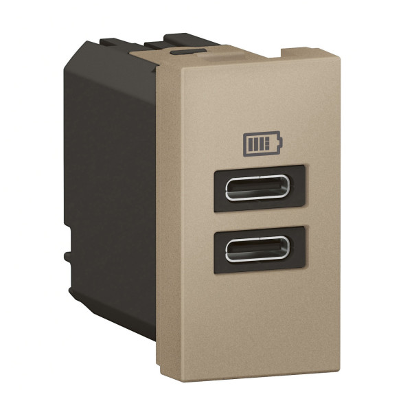Chargeur 1 module 2 prises usb type c 15w champagne
