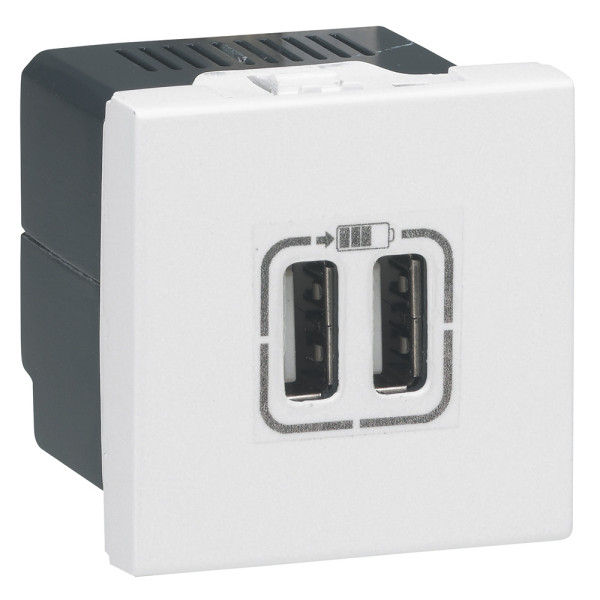 Arteor chargeur 2 modules 2 usb a+a 2.4a 12 w blanc