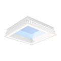 Natureconnect skylight w60l60 lp913p nc3 skylight panel