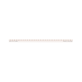 Ps2/58/30 - peigne 2p (l1+n) - 58 modules - 120a - 30mm²